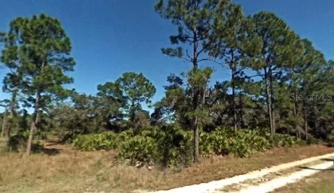 10150 Roundtree Dr, Sebring, FL 33875 photo 1