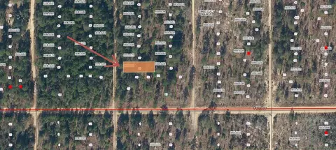 lot36 Paxon, Interlachen, FL 32148