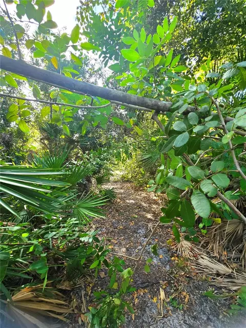 6625 Sim Barco Rd, Palmetto, FL 34221