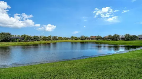 View/Area - 1121 Thornbury Dr, Parrish, FL 34219 photo 3 of 6