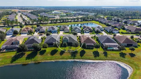 View/Area - 1121 Thornbury Dr, Parrish, FL 34219 photo 5 of 6