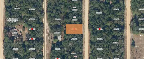 Hollister, FL Homes for Sale Hollister Real Estate Movoto