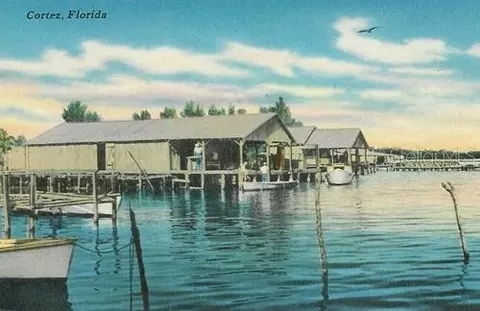 View/Area - 9811 Hernando Ct, Bradenton, FL 34210 photo 7 of 8