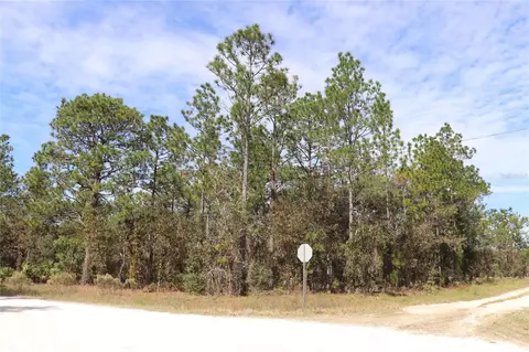 tbd SW 81st St, Dunnellon, FL 34432