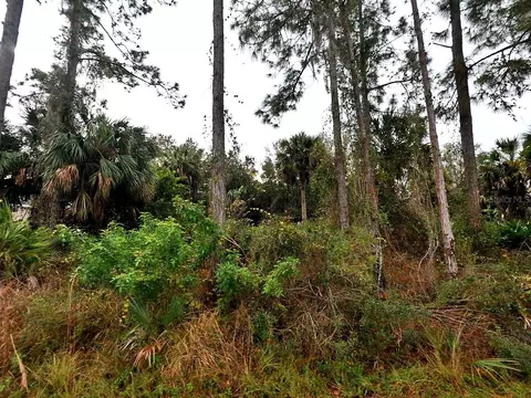 Cissus Avenue, North Port, FL 34288