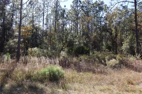 tbd SW 131st Cir, Ocala, FL 34481