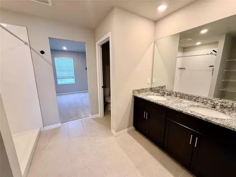 Bath - 10062 Daybreak Gln, Parrish, FL 34219 photo 2 of 3