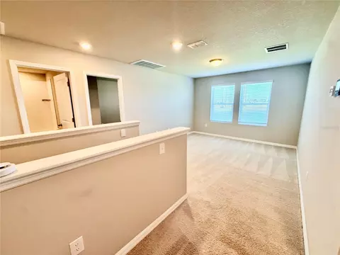 Other - 10062 Daybreak Gln, Parrish, FL 34219 photo 4 of 6