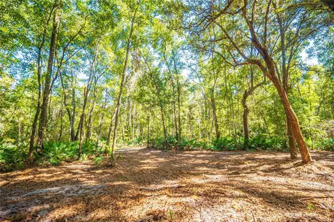 21490 NW 106th Court Rd, Micanopy, FL 32667
