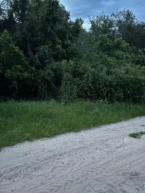 SE 135 Lane, Umatilla, FL 32784