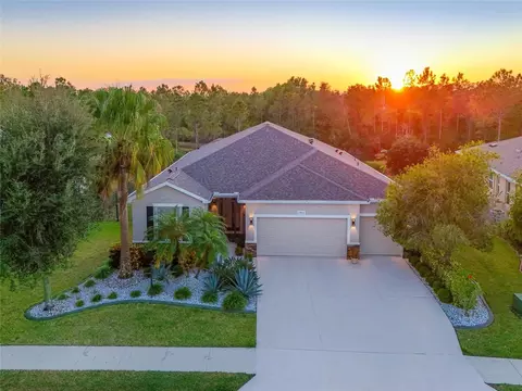 Exterior - 2811 130th Ave E, Parrish, FL 34219 photo 2 of 15