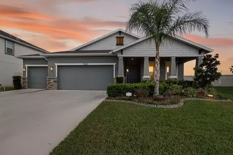 11823 Tetrafin Dr, Riverview, FL 33579