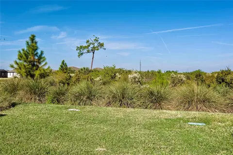 Exterior - 10641 Spring Tide Way, Parrish, FL 34219 photo 8 of 11