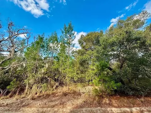 tbd NE 239th Pl, Fort Mc Coy, FL 32134