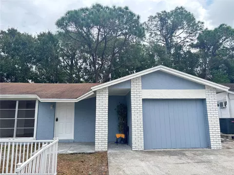 10101 Springtree Ct, Tampa, FL 33615