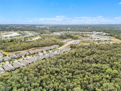 View/Area - 14412 20th St E, Parrish, FL 34219 photo 4 of 7