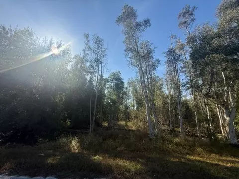 27335 Las Lomas Dr, Punta Gorda, FL 33955