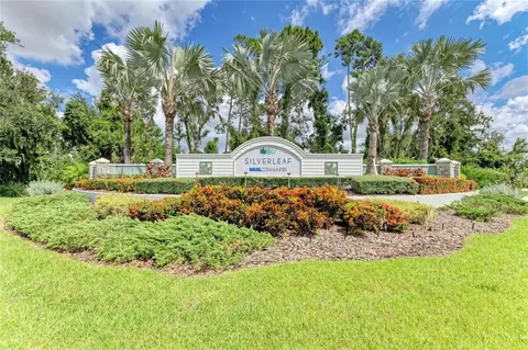 View/Area - 3417 Box Turtle Ter, Parrish, FL 34219 photo 5 of 11