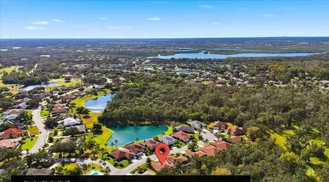 View/Area - 3432 Brookridge Ln, Parrish, FL 34219 photo 10 of 17