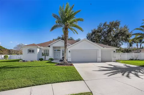 2808 Duncan Tree Cir, Valrico, FL 33594