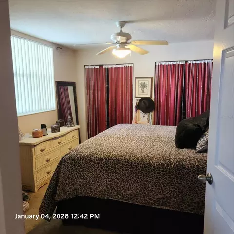 Bedroom - 524 Sarabay Rd, Osprey, FL 34229 photo 3 of 4