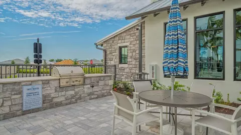 View/Area - 17543 Savory Mist Cir, Bradenton, FL 34211 photo 18 of 23