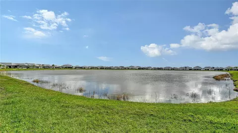 View/Area - 17543 Savory Mist Cir, Bradenton, FL 34211 photo 3 of 23