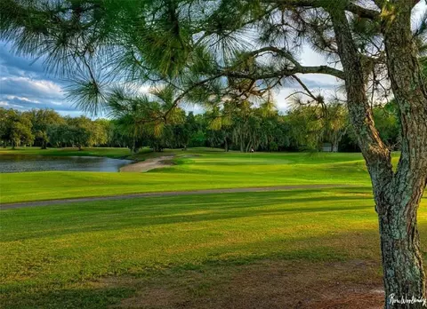 Other - 2962 Wilderness Blvd E, Parrish, FL 34219 photo 9 of 11