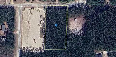2531 Ocean Pond Rd, Perry, FL 32348