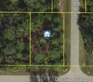 Lady Slipper Avenue, North Port, FL 34291