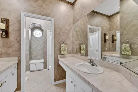 Bath - 17312 Howling Wolf Run, Parrish, FL 34219 photo 3 of 5