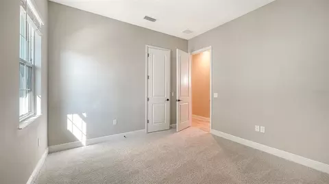 Bedroom - 10103 Hammock Brook Dr, Parrish, FL 34219 photo 12 of 13