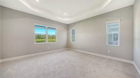 Bedroom - 10103 Hammock Brook Dr, Parrish, FL 34219 photo 2 of 13