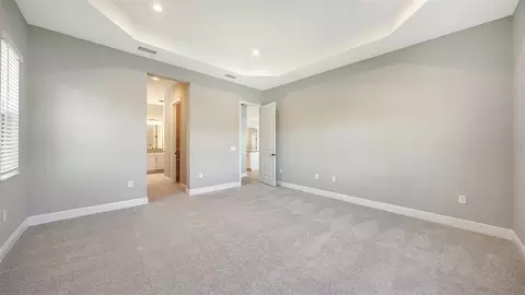 Bedroom - 10103 Hammock Brook Dr, Parrish, FL 34219 photo 4 of 13