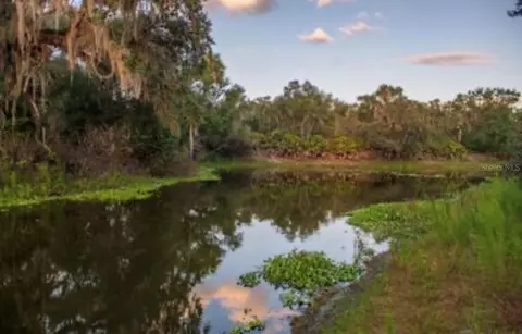 1061 Harris Rd, Arcadia, FL 34266 photo 26