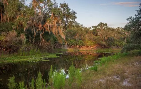 1061 Harris Rd, Arcadia, FL 34266 photo 25