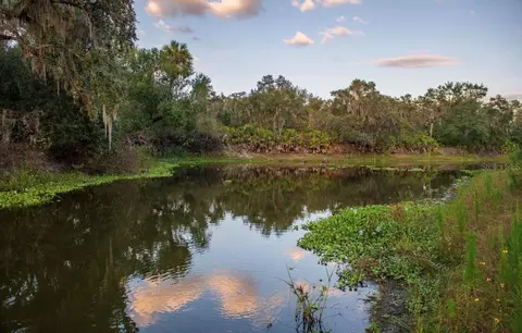 1061 Harris Rd, Arcadia, FL 34266 photo 27