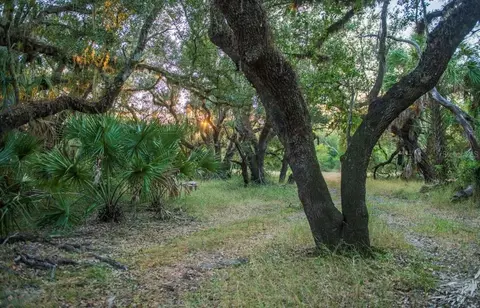 1061 Harris Rd, Arcadia, FL 34266 photo 28