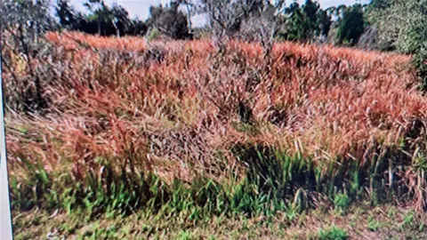Jaylene Road, North Port, FL 34288