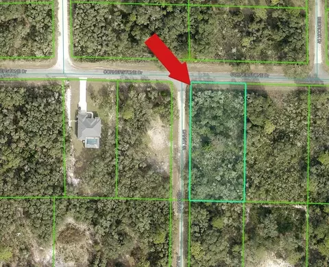 35106 Cornerstone Dr, Webster, FL 33597