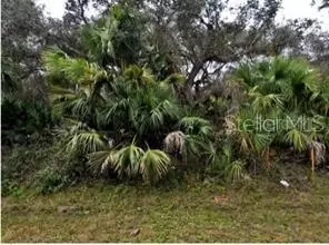 Ocarina Road, North Port, FL 34291