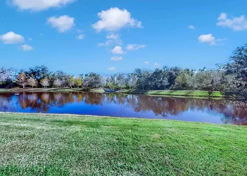 View/Area - 16454 Woodside Gln, Parrish, FL 34219 photo 13 of 15