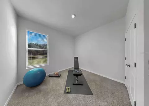 Other - 16454 Woodside Gln, Parrish, FL 34219 photo 8 of 17