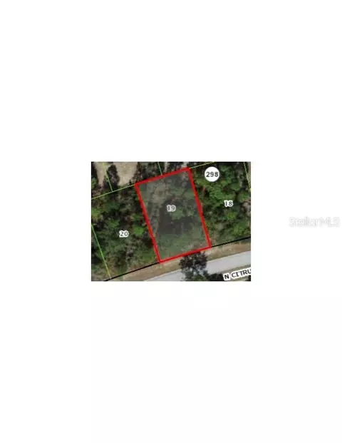 9236 N Citrus Springs Blvd, Citrus Springs, FL 34433