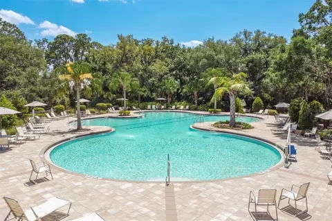 Exterior - 10008 Last Light Gln, Parrish, FL 34219 photo 4 of 4