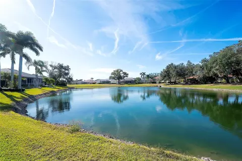 View/Area - 11809 Oak Ridge Dr, Parrish, FL 34219 photo 6 of 6