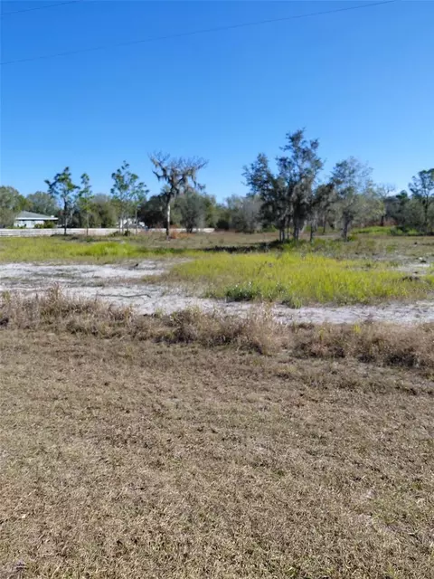 39925 20th Pl E, Myakka City, FL 34251