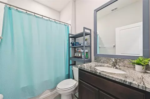 Bath - 10516 Chippewa Dr, Parrish, FL 34219 photo 3 of 4