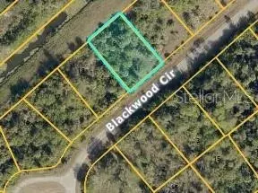 Blackwood Circle, North Port, FL 34288