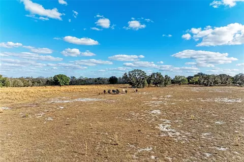 33100 33070 Taylor Grade Rd, Parrish, FL 34219 photo 22